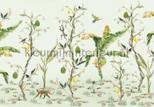Monkey Life fotomurais Creative Lab Amsterdam Botanical Collection monkey-life