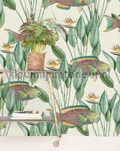 Parrot Fish fotomurais Creative Lab Amsterdam Botanical Collection parrot-fish