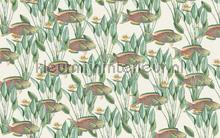 Parrot Fish fotomurais Creative Lab Amsterdam Botanical Collection parrot-fish