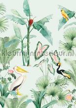 pelican fotomurais Creative Lab Amsterdam Botanical Collection pelican-200