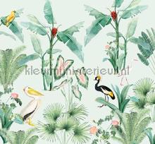 pelican fotomurais Creative Lab Amsterdam Botanical Collection pelican-300