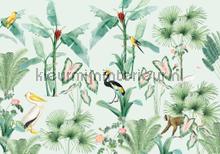 pelican fotomurais Creative Lab Amsterdam Botanical Collection pelican-400