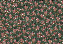 Wild Roses fotomurais Creative Lab Amsterdam Botanical Collection wild-roses