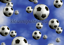 Footballs fotobehang Kleurmijninterieur Sport 
