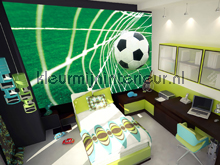 fottobehaang sport