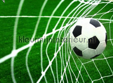 Goal fotomurali Kleurmijninterieur sport 
