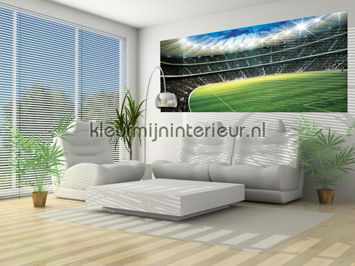 Stadium papier murales sport Kleurmijninterieur