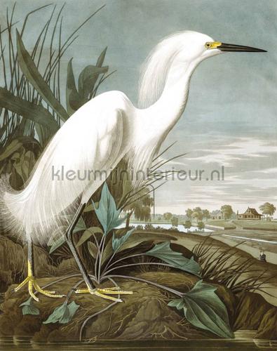 snowy heron fottobehaang pa-009 intrieur Kek Amsterdam