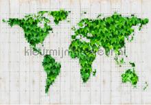 Green world fotomurali Kleurmijninterieur Sun Mare Spiaggia 