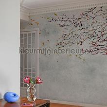 eolia wallcovering 6600087 Core Coordonne