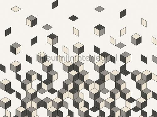 falling cube photomural 200452 Graphic - Abstract BN Wallcoverings