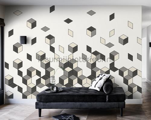 falling cube fotomurales 200452 Cubiq BN Wallcoverings