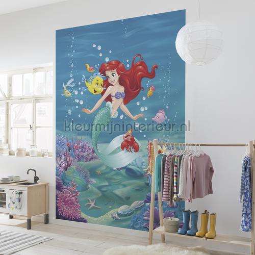 ariel singing fottobehaang 4-4020 Disney Edition 3 Komar