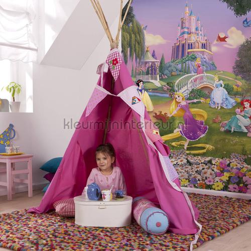 disney princess sunset fotomurali 4-4026 principessa Komar