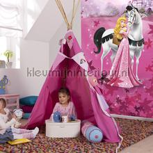 sleeping beauty fottobehaang 4-495 Disney Edition 3 Komar