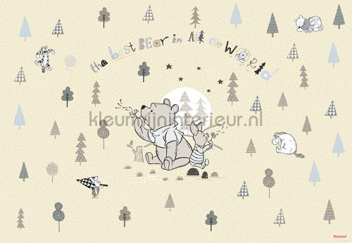 winnie pooh best bear papier murales 8-4024 Disney - Pixar Komar