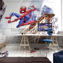 spider man new concrete fottobehaang 8-4029 Disney Edition 3 Komar