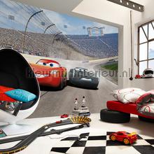 cars 3 curve fotomurais 8-403 Disney Edition 3 Komar