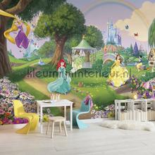 disney princess rainbow fotobehang 8-449 Disney Edition 3 Komar