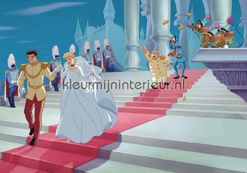 Cinderella fotobehang Disney Princess Kleurmijninterieur