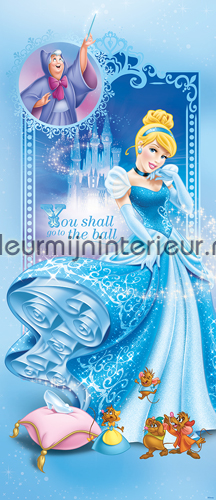 Cinderella fotobehang Disney Princess Kleurmijninterieur