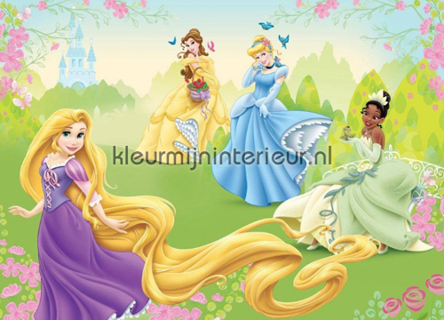 Princess on the meadow fotobehang Disney Princess Kleurmijninterieur