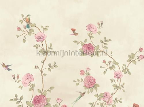 rose garden fotomurales 200458 Fiore BN Wallcoverings