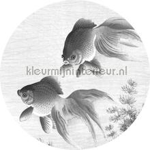 goldfish papier murales Kek Amsterdam Flora en Fauna ck-005