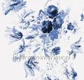 royal blue flowers wp-225 tmaas