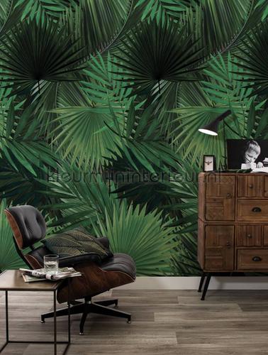 palm fottobehaang wp-501 intrieur Kek Amsterdam