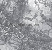 tropical landscapes papier murales wp-604 Forts Kek Amsterdam