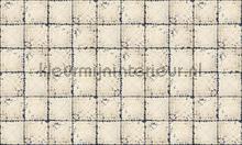 Tin plates Nebraska fotomurais Rebel Walls telhas 