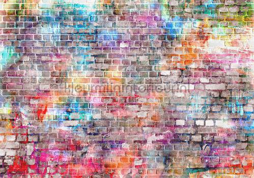 Colored brick wall fotobehang Stenen - Beton Kleurmijninterieur