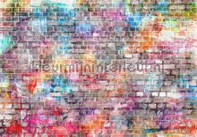 Colored brick wall fototapeten Kleurmijninterieur weltkarten 