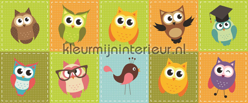 Owls fotomurales Girls Kleurmijninterieur