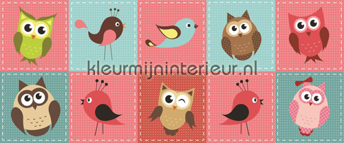 Owls and birds fottobehaang Girls Kleurmijninterieur