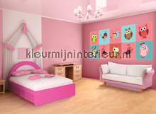 Owls and birds fottobehaang Girls Kleurmijninterieur