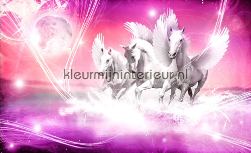 Pink running pegasus fotobehang aanbieding fotobehang Kleurmijninterieur