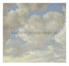 Golden Age Clouds 2 fotobehang WP-215 Kunst - Ambiance Kek Amsterdam
