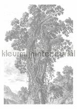 Engraved Landscapes fotobehang Kek Amsterdam Golden Age Flowers WP-313