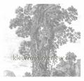 Engraved Landscapes fotobehang WP-318 Golden Age Flowers Kek amsterdam