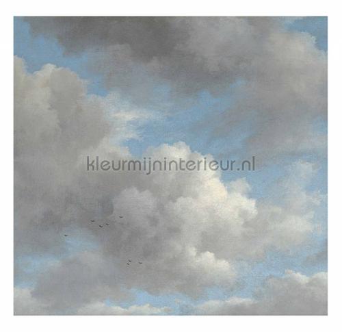 Golden Age Clouds fotobehang WP-394 Kunst - Ambiance Kek Amsterdam