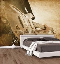 Sepia guitar fotomurali Noordwand sport 