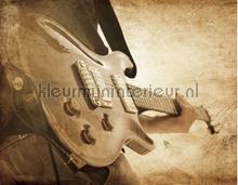 sepia guitar behaang Noordwand Grunge g45283