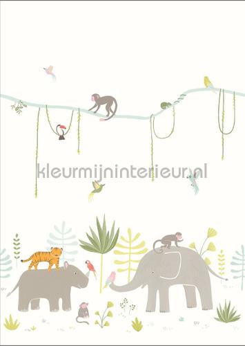 Panoramique Jungle Hpdm Wallcovering Happy Dreams Casadeco