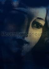 lumiere papier murales Komar Heritage Edition 1 hx4-026