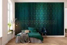 mystique vert papier murales Komar Heritage Edition 1 hx8-047