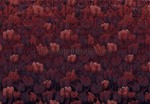 tulipe photomural hx8-051 Flowers - Plants Komar