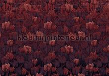 tulipe papier murales Komar Heritage Edition 1 hx8-051
