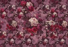 magnifique papier murales Komar Heritage Edition 1 hx8-062